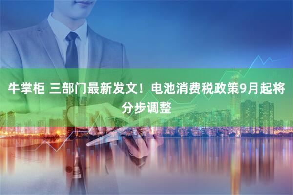 牛掌柜 三部门最新发文！电池消费税政策9月起将分步调整