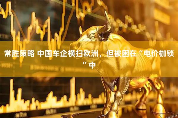 常胜策略 中国车企横扫欧洲，但被困在“电价枷锁”中